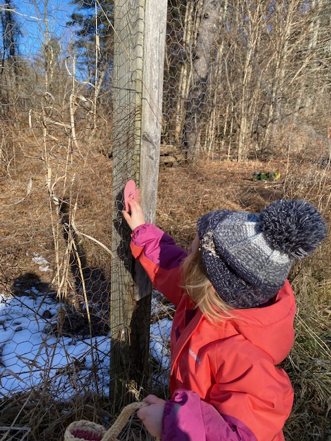 Valentines Letter Heart&nbsp;Hunt