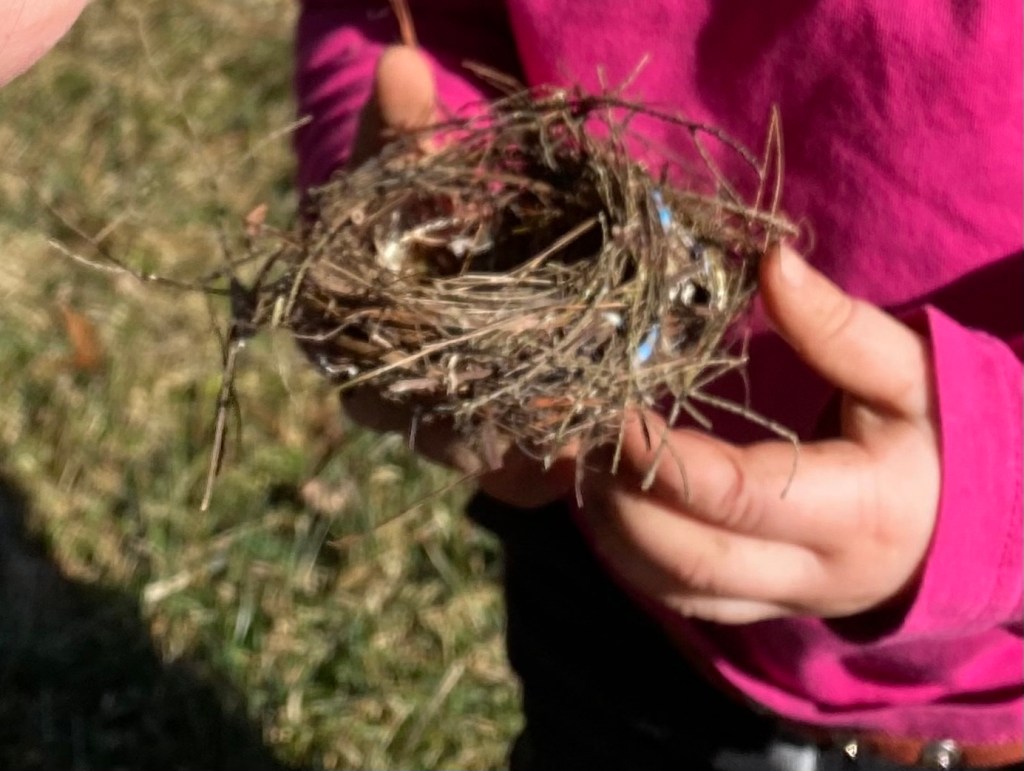 3 Simple Ways to Celebrate the Vernal Equinox with&nbsp;Children