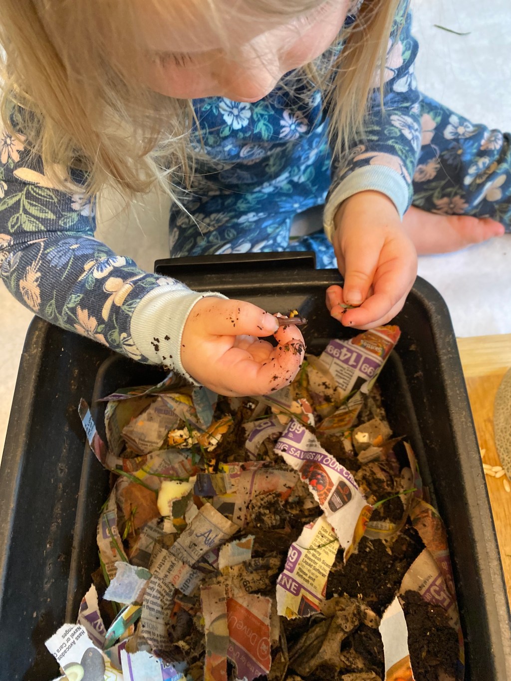 Vermicomposting with Children