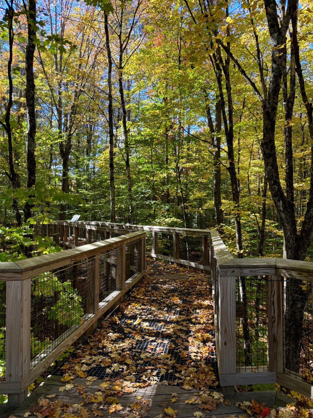 Vermont Institute of Natural&nbsp;Sciences