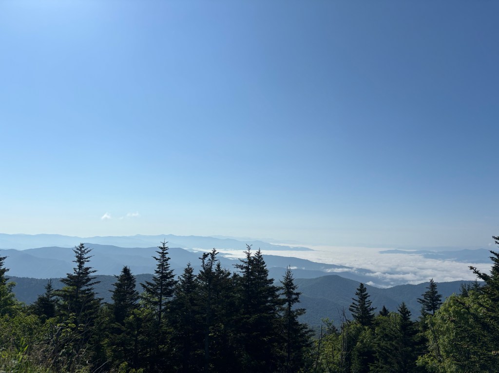 Rich Learning Experiences in the Great Smoky&nbsp;Mountains